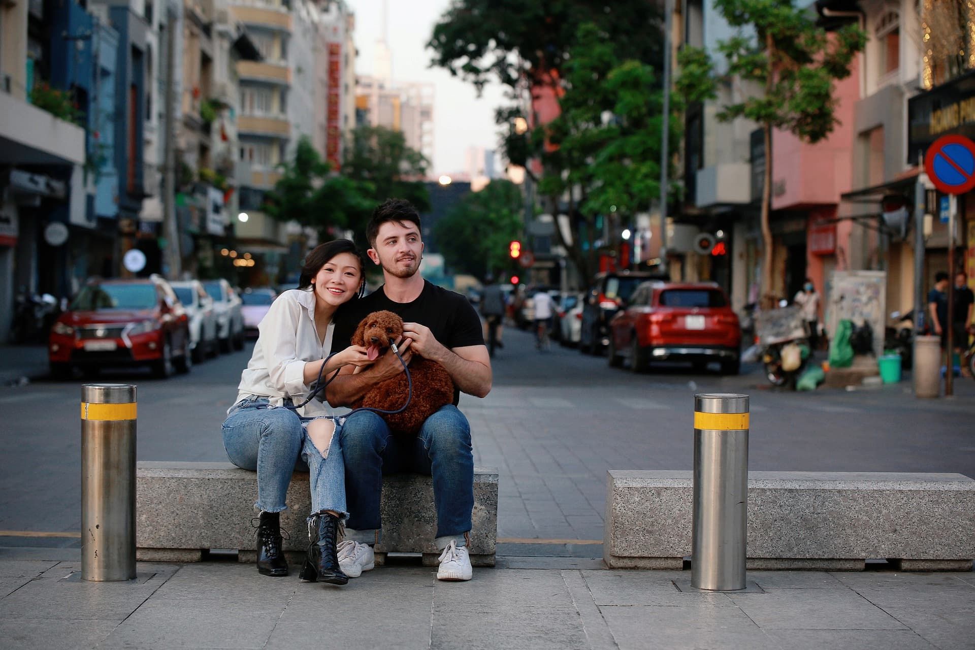 Visiting Madrid with your dog: best plans for 1 or 2 days