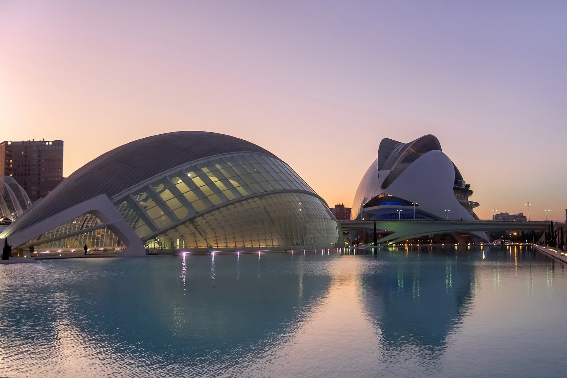 Oceanogràfic Valencia: What to see in a day | Blog | Líbere