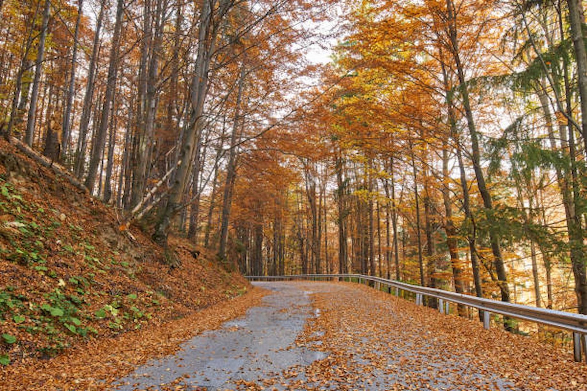 5 Excursiones cerca de Pamplona