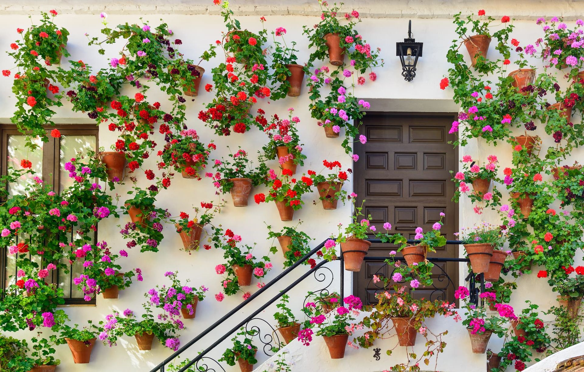 5 patios to visit in Córdoba