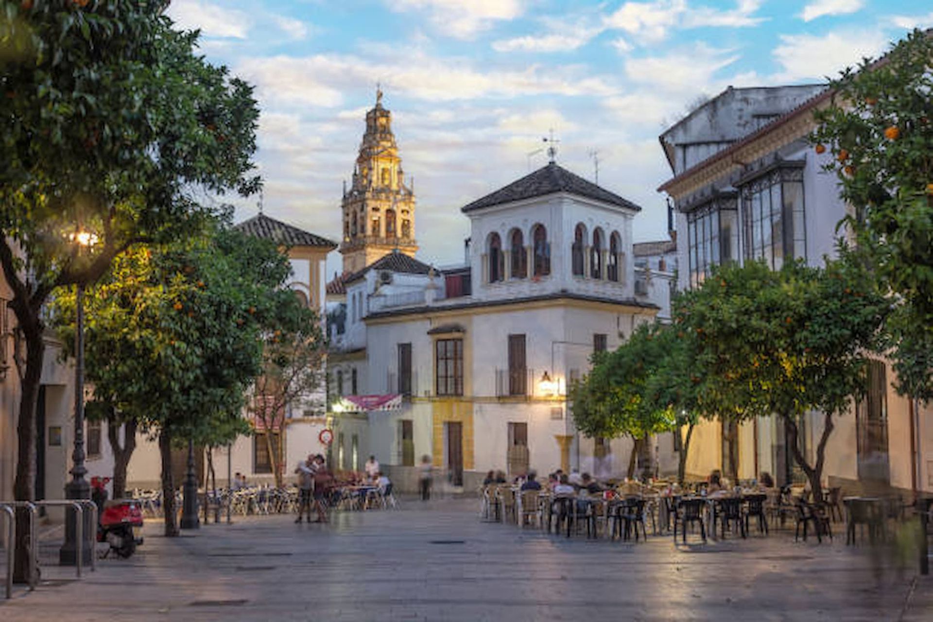 A tour through the best taverns in Córdoba